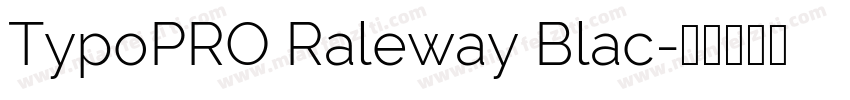 TypoPRO Raleway Blac字体转换